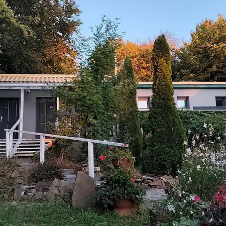 Bed & Breakfast Darazshegyi Panzio Es Fahazak - Panzio Epuelet 3*