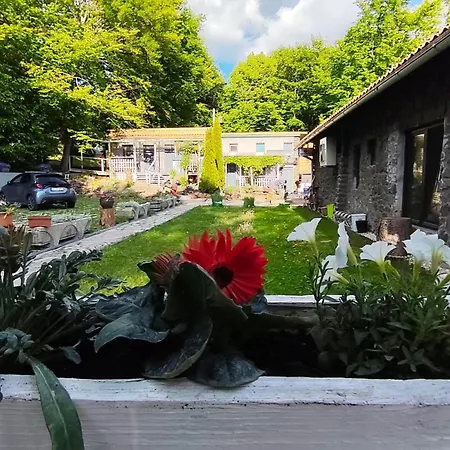 Panzió Darázshegyi Panzió Gluténmentes Félpanzióval Is Mátraszentimre